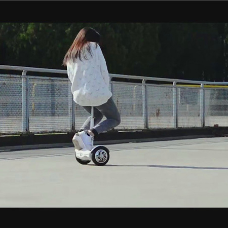 Airwheel S6